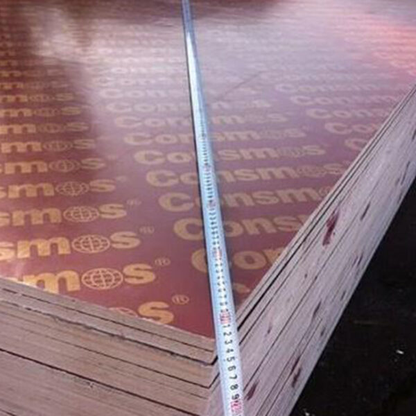 Formwork Plywood